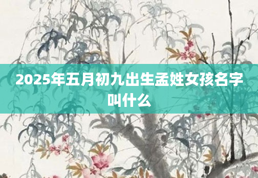 2025年五月初九出生孟姓女孩名字叫什么