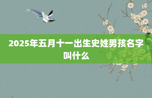 2025年五月十一出生史姓男孩名字叫什么