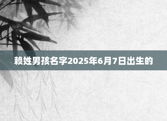 赖姓男孩名字2025年6月7日出生的