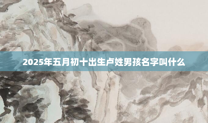 2025年五月初十出生卢姓男孩名字叫什么