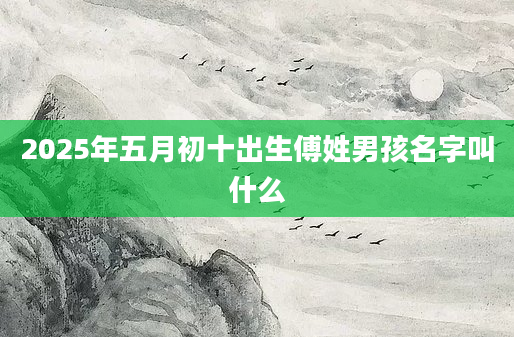 2025年五月初十出生傅姓男孩名字叫什么