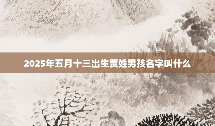 2025年五月十三出生贾姓男孩名字叫什么