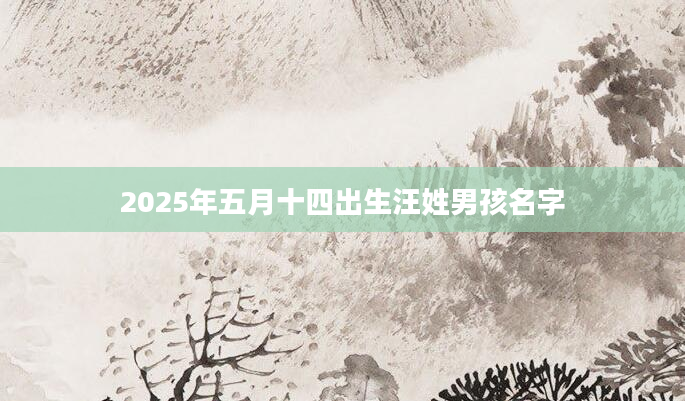 2025年五月十四出生汪姓男孩名字