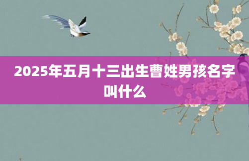 2025年五月十三出生曹姓男孩名字叫什么