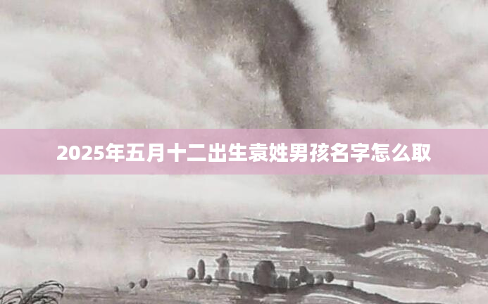 2025年五月十二出生袁姓男孩名字怎么取