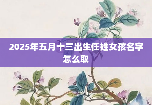 2025年五月十三出生任姓女孩名字怎么取