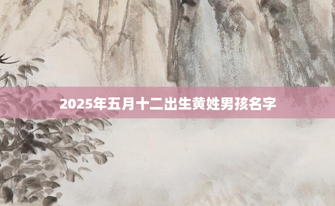 2025年五月十二出生黄姓男孩名字