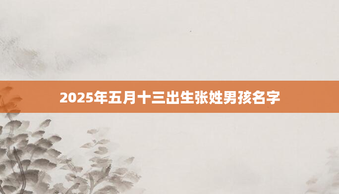 2025年五月十三出生张姓男孩名字