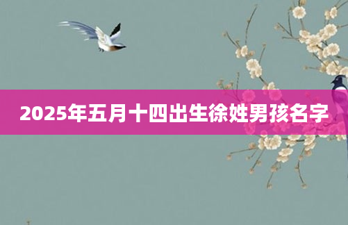 2025年五月十四出生徐姓男孩名字