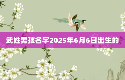 武姓男孩名字2025年6月6日出生的