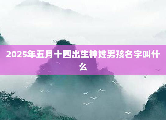 2025年五月十四出生钟姓男孩名字叫什么