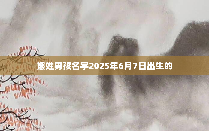 熊姓男孩名字2025年6月7日出生的