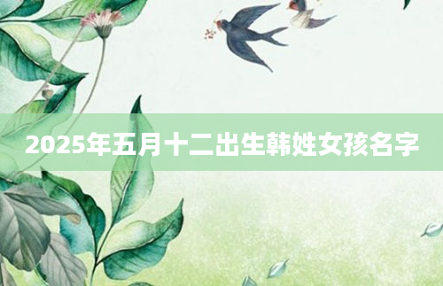 2025年五月十二出生韩姓女孩名字