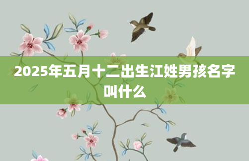 2025年五月十二出生江姓男孩名字叫什么
