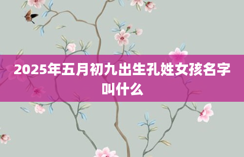 2025年五月初九出生孔姓女孩名字叫什么