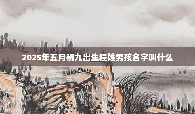 2025年五月初九出生程姓男孩名字叫什么