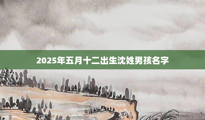 2025年五月十二出生沈姓男孩名字