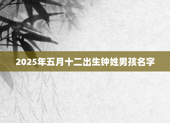 2025年五月十二出生钟姓男孩名字