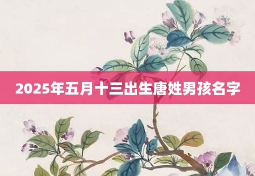 2025年五月十三出生唐姓男孩名字