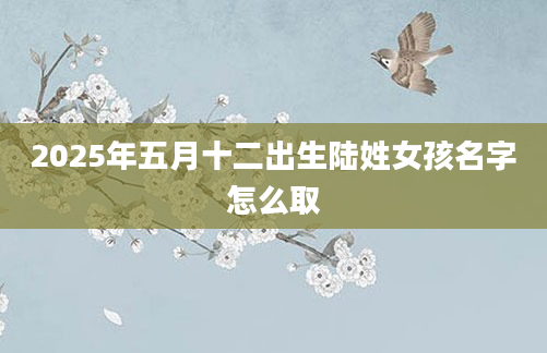 2025年五月十二出生陆姓女孩名字怎么取