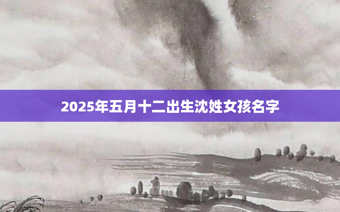 2025年五月十二出生沈姓女孩名字