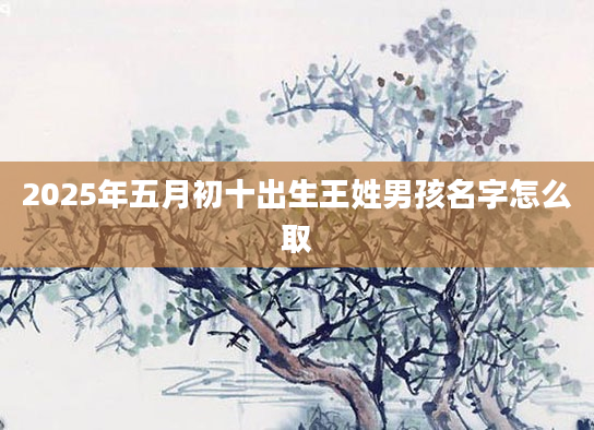 2025年五月初十出生王姓男孩名字怎么取