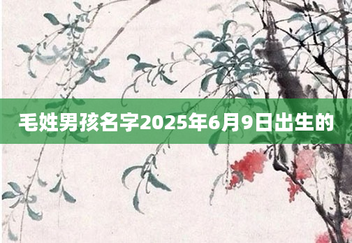 毛姓男孩名字2025年6月9日出生的