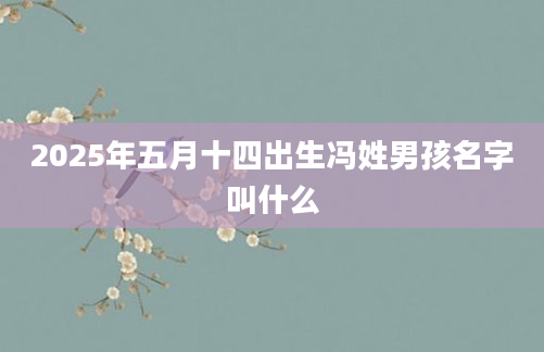 2025年五月十四出生冯姓男孩名字叫什么