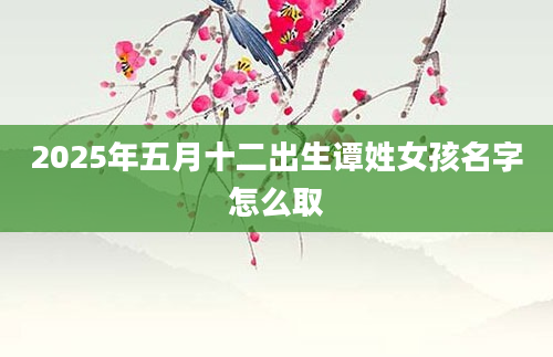 2025年五月十二出生谭姓女孩名字怎么取