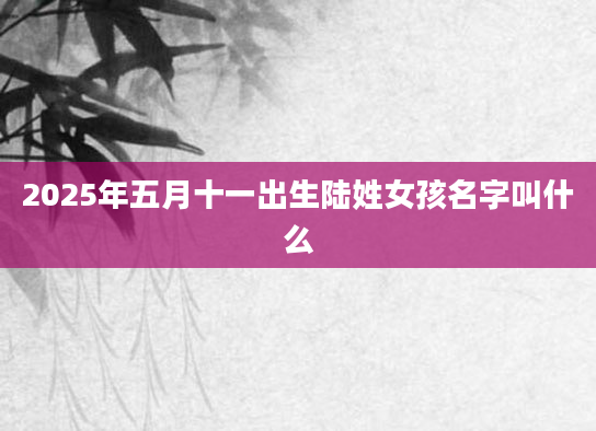 2025年五月十一出生陆姓女孩名字叫什么