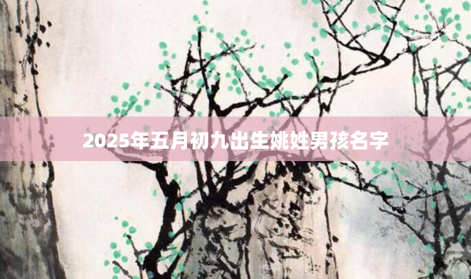 2025年五月初九出生姚姓男孩名字