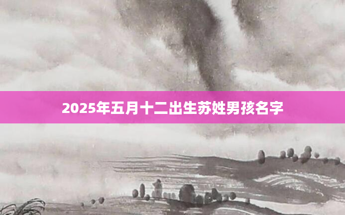 2025年五月十二出生苏姓男孩名字
