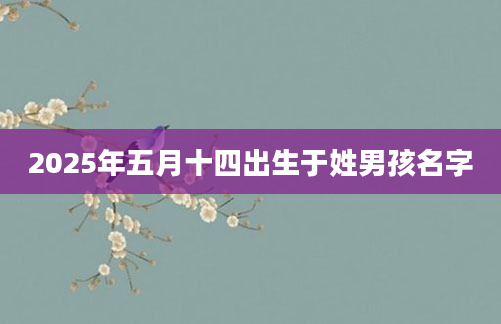 2025年五月十四出生于姓男孩名字