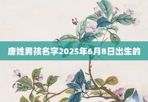 唐姓男孩名字2025年6月8日出生的