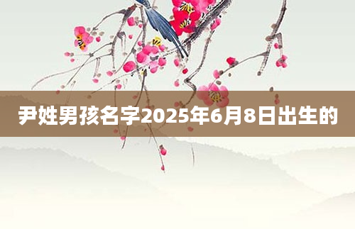 尹姓男孩名字2025年6月8日出生的