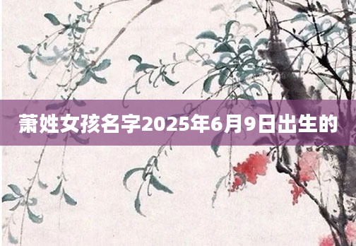 萧姓女孩名字2025年6月9日出生的