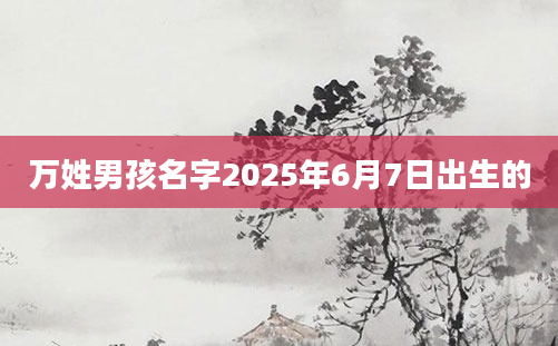 万姓男孩名字2025年6月7日出生的