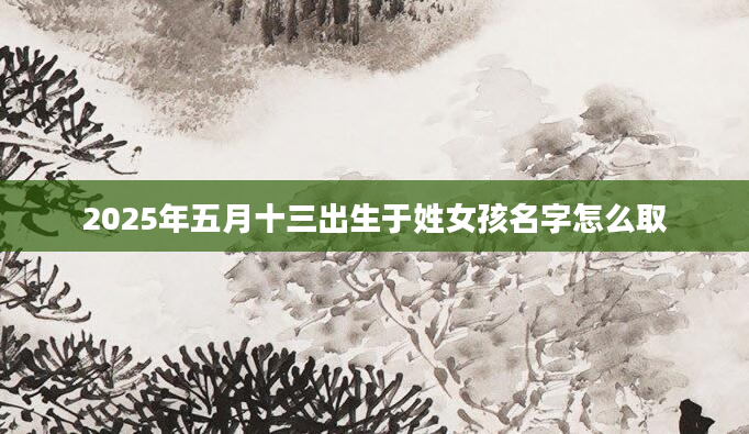 2025年五月十三出生于姓女孩名字怎么取
