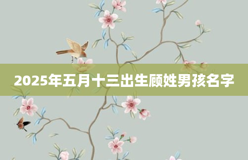 2025年五月十三出生顾姓男孩名字