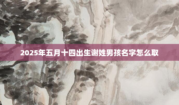 2025年五月十四出生谢姓男孩名字怎么取