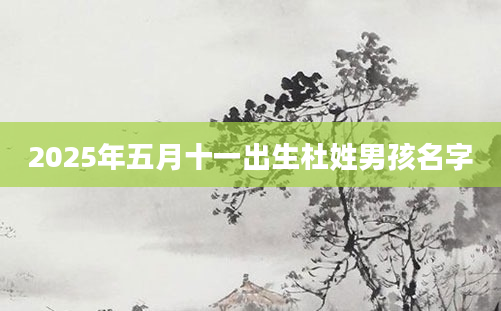 2025年五月十一出生杜姓男孩名字
