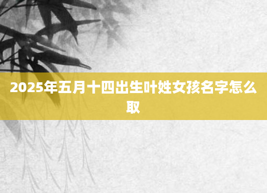 2025年五月十四出生叶姓女孩名字怎么取