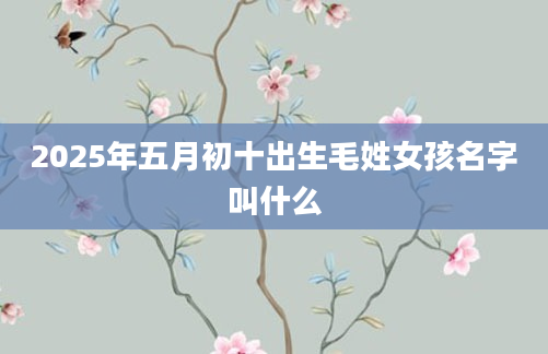 2025年五月初十出生毛姓女孩名字叫什么