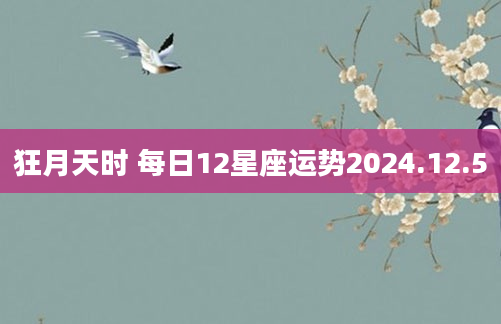 狂月天时 每日12星座运势2024.12.5