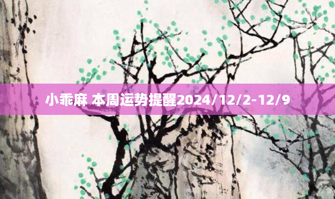 小乖麻 本周运势提醒2024/12/2-12/9