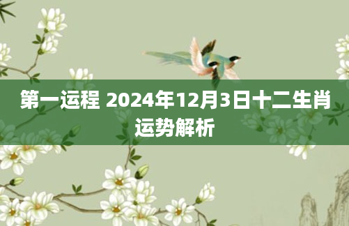 第一运程 2024年12月3日十二生肖运势解析