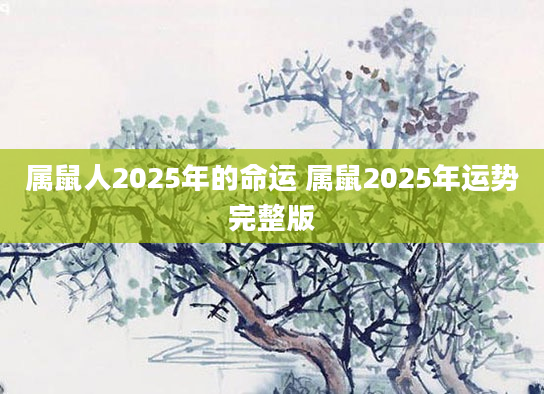 属鼠人2025年的命运 属鼠2025年运势完整版