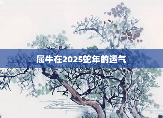 属牛在2025蛇年的运气