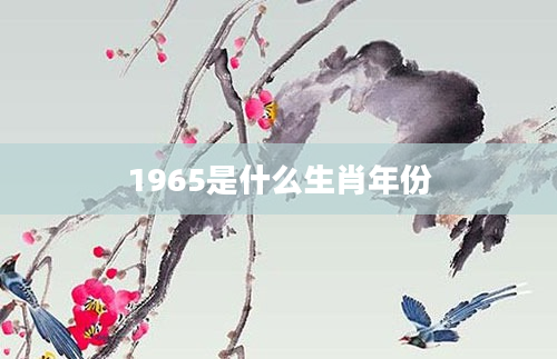 1965是什么生肖年份