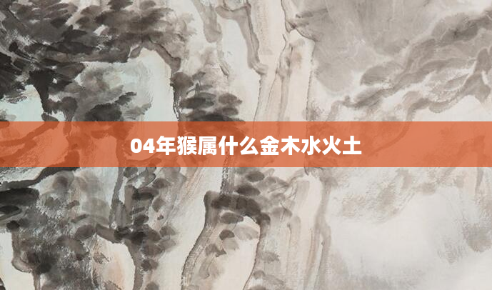 04年猴属什么金木水火土